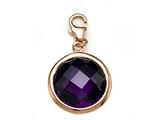 February Simulated Round Shape Birthstone Charm for Charm Braclelet or Smartphone using our Smartphone Plug Adaptor