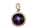 February Simulated Round Shape Birthstone Charm for Charm Braclelet or Smartphone using our Smartphone Plug Adaptor