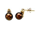 Carlo Viani® South Sea Brown Pearl Earrings with Brown Diamonds