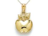 14kt Yellow Gold Polished Apple Pendant - Free Chain Included