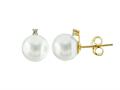 14k Yellow Gold 7.5mm Pearl Stud Earrings