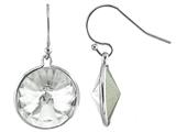 Color Craft™ 14mm Round Clear Crystal Genuine Swarovski Crystal Drop Ball Ear Wire Earrings
