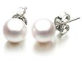 Akoya Cultured Pearl Earrings AA 7-7.5 mm with 14kt Gold Post