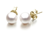 Akoya Cultured Pearl Earrings AA 5-5.5 mm with 14kt Gold Post