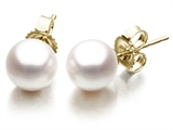 Akoya Cultured Pearl Earrings AA 8-8.5 mm with 14kt Gold Post