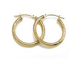 Hoop Earrings