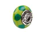 SilveRado™ AD42 Murano Glass My Inspiration Bead / Charm