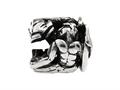 SilveRado™ MS294 Sterling Silver Zodiac Aquarius Bead / Charm