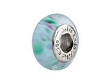 SilveRado™ F12 Murano Glass Evolution Bead / Charm