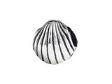 SilveRado™ MCB007 Sterling Silver Seashell #3