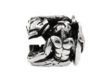 SilveRado™ MS294 Sterling Silver Zodiac Aquarius Bead / Charm