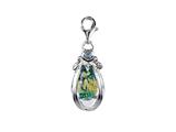 SilveRado™ VRG156-4 Verado Murano Glass Serendipity Bead / Charm