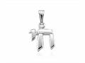 Sterling Silver Childrens Chai Pendant on 12 Inch Chain