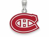 Small Enamel Pendant