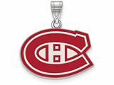 Medium Enamel Pendant