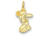 Disney Mickey Charm