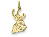 Disney Pluto Charm