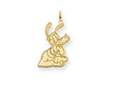Disney Pluto Charm