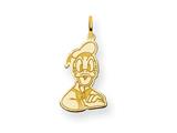 Disney Donald Duck Charm