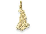 Disney Goofy Charm