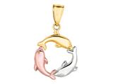 14K Tri-Color Gold Trinity Dolphin Circle Pendant on a 18 Inch Chain