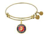 Enamel USMC