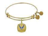 USAF Enamel Symbol