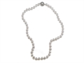Genuine Pearl Necklace 6.5 - 7mm with a Silver Clasp