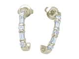 Karina B™ Baguette Diamonds Earrings