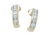 Karina B™ Round Diamonds Earrings