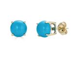 FJC Finejewelers 14k Yellow Gold 7mm Round Compressed Turquoise Stud Earrings style: E4043TQ14KY