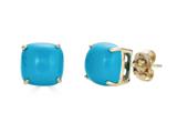 FJC Finejewelers 14k Yellow Gold 7x7mm Cushion-Cut Compressed Turquoise Stud Earrings style: E8053TQ14KY