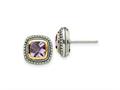 FJC Finejewelers Silver and 14k Gold Two-Tone Antiqued with Amethyst Earrings 11 x 11 mm gqqtc714