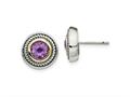 FJC Finejewelers Silver and 14 Gold Two-Tone Antiqued with Amethyst Earrings 12 x 12 mm gqqtc723