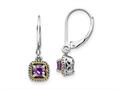 FJC Finejewelers Silver and 14k Gold Two-Tone Dangle Antiqued with Amethyst Earrings 24 x 7 mm gqqtc735