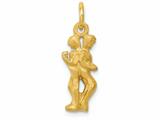 Image Charms-Zodiacs 161