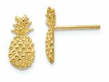FJC Finejewelers 14k Yellow Gold Polished Textured Pineapple Post Earrings style: TM773